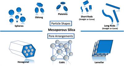 Biocompatible Supramolecular Mesoporous Silica Nanoparticles as the Next-Generation Drug Delivery System